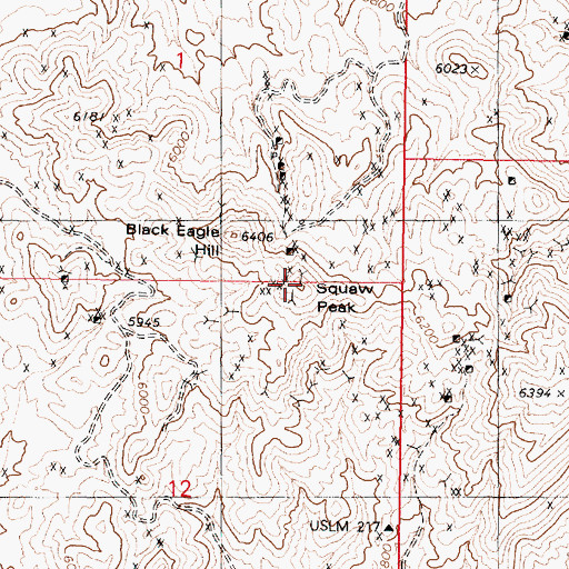 Topographic Map of Squaw Peak, NV