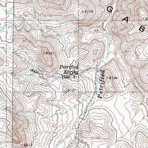 Topographic Map of Petrified Spring, NV