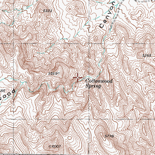 Topographic Map of Cottonwood Spring, NV