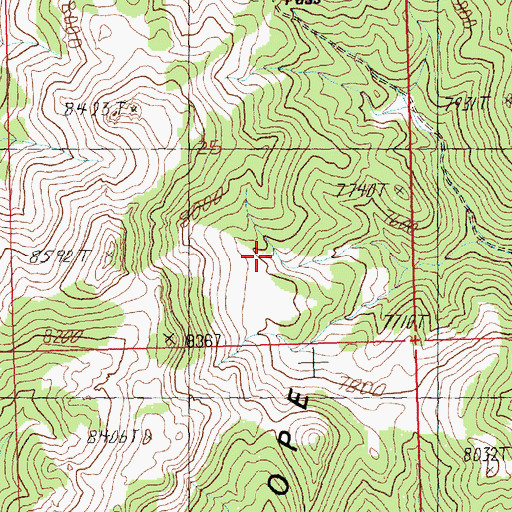 Topographic Map of Blind Spring, NV