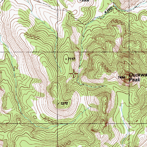 Topographic Map of Butte Station Spring, NV