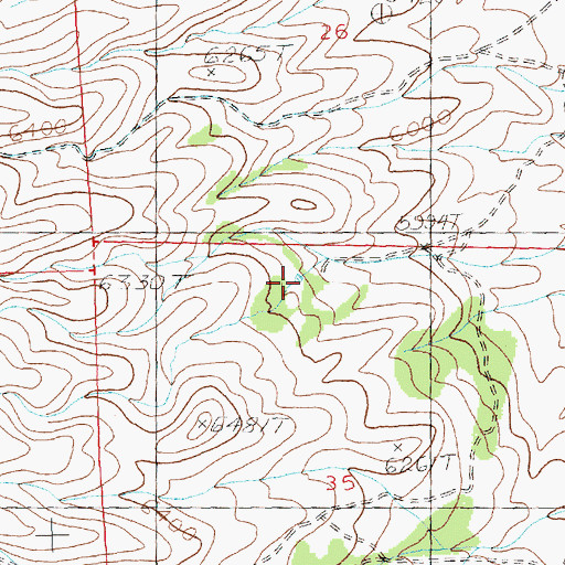 Topographic Map of Strawberry Spring, NV