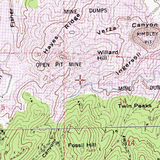 Topographic Map of Ruth Shaft, NV