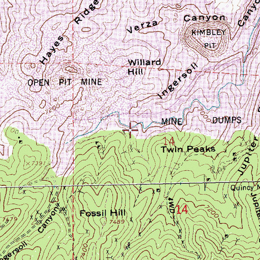 Topographic Map of Brilliant Shaft, NV