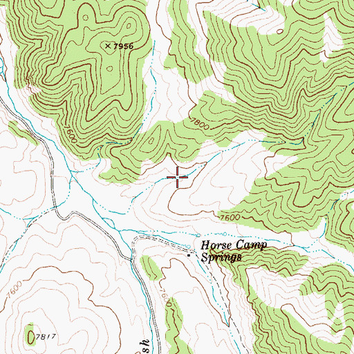 Topographic Map of North Horse Camp Spring, NV