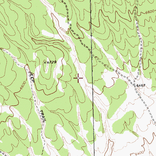 Topographic Map of Little Pine Spring, NV
