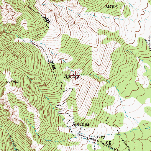 Topographic Map of Ledge Spring, NV
