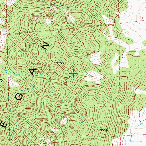 Topographic Map of Summit Spring, NV