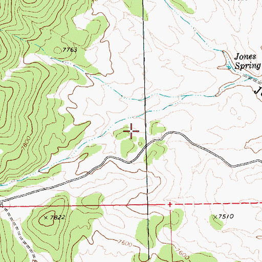 Topographic Map of Adams Spring, NV