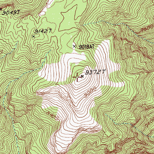 Topographic Map of Central Peak, NV