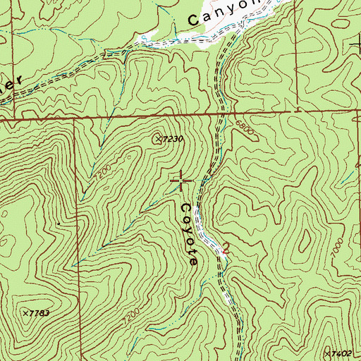 Topographic Map of Coyote Spring, NV