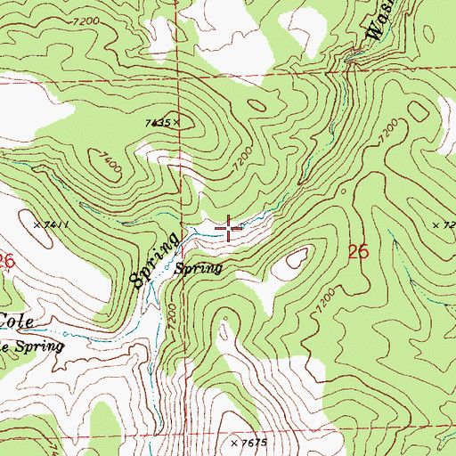 Topographic Map of North Cole Spring, NV