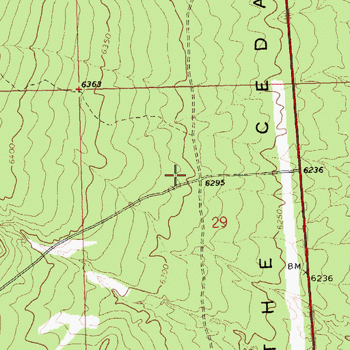 Topographic Map of Wardell Spring, NV