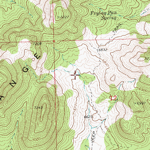 Topographic Map of West Frying Pan Spring, NV