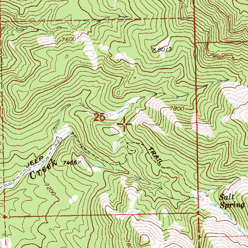 Topographic Map of Hogwallow Spring, NV