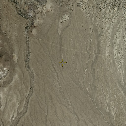 Aerial/Satellite Image of Cedar Spring, NV