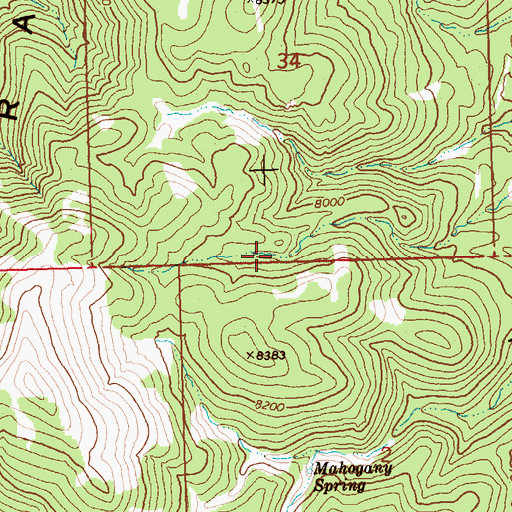 Topographic Map of Vicks Spring, NV