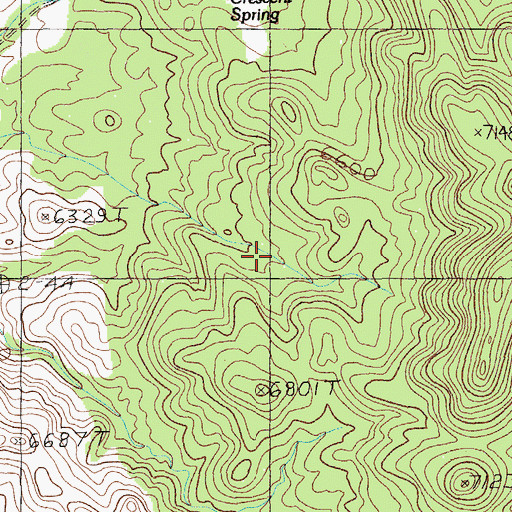 Topographic Map of Rye Grass Spring, NV