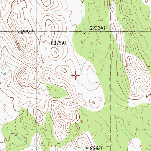 Topographic Map of Rye Grass Well, NV