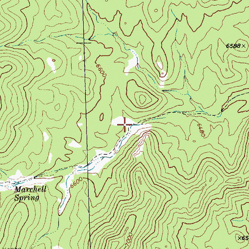 Topographic Map of McGuffy Spring, NV
