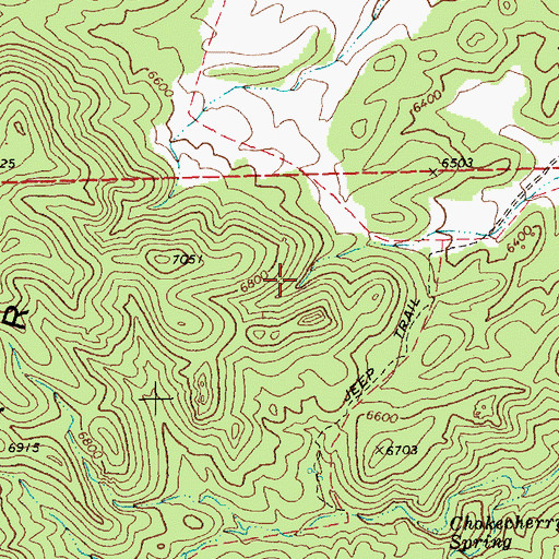 Topographic Map of South Willow Spring, NV