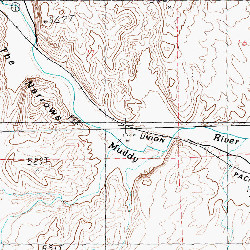 Topographic Map of White (historical), NV