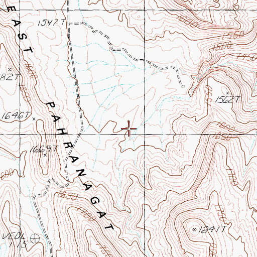 Topographic Map of Fox Tail Spring, NV