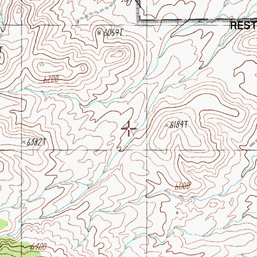 Topographic Map of Lick Spring, NV