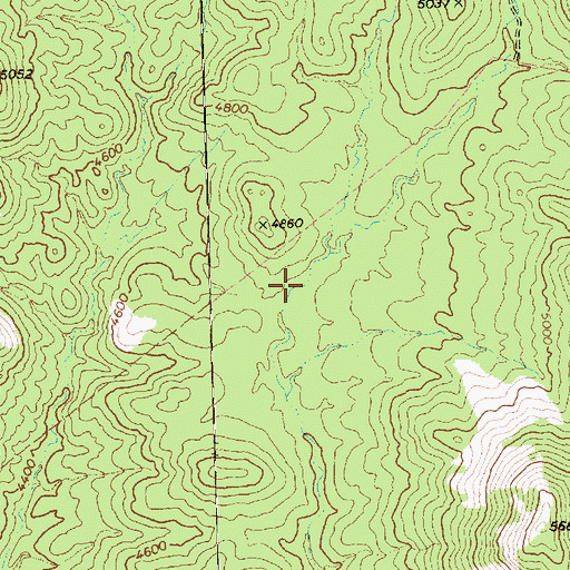 Topographic Map of Betsy Spring, NV