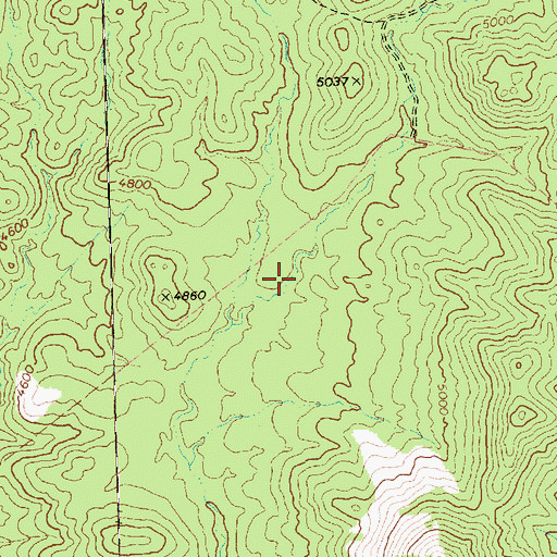 Topographic Map of Rueben Spring, NV