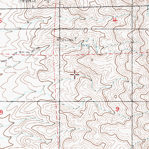 Topographic Map of Grasshopper Spring, NV