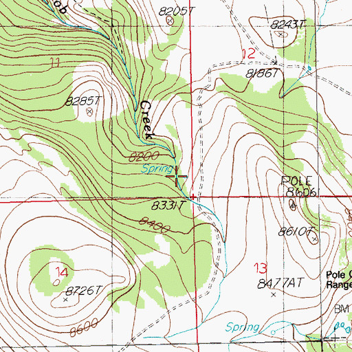 Topographic Map of Jim Bob Spring, NV