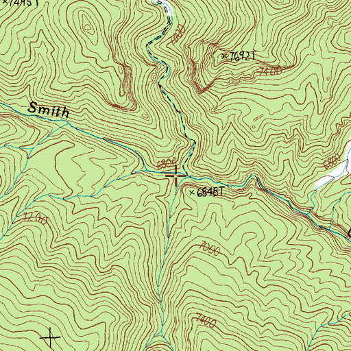 Topographic Map of North Fork Smith Creek, NV