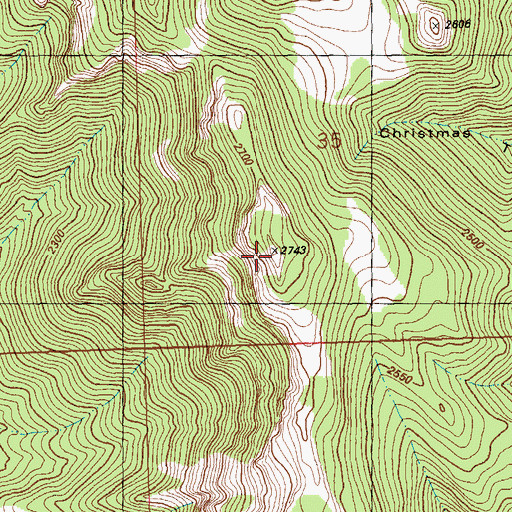 Topographic Map of Mount Pisgah, NV