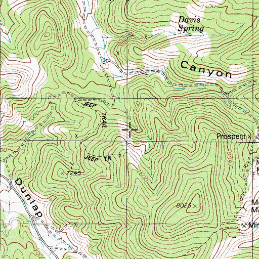 Topographic Map of Yellow Spring, NV