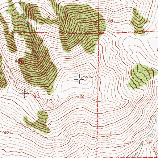 Topographic Map of Forleen Butte, NV