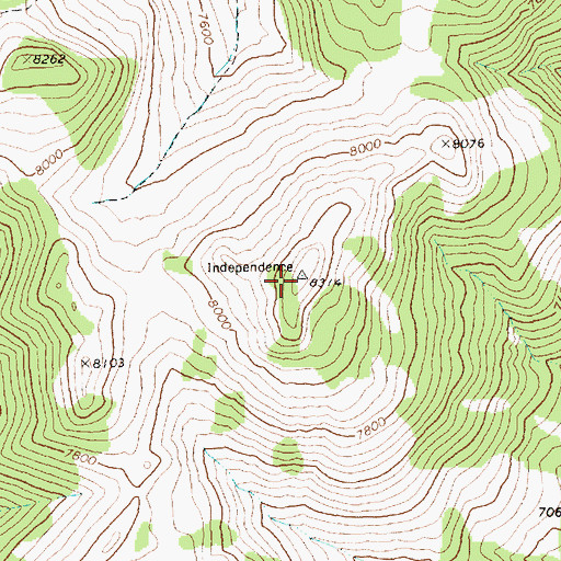 Topographic Map of Little Cedar Mountain, NV