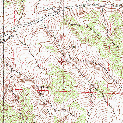 Topographic Map of Rasberry Spring Two, NV