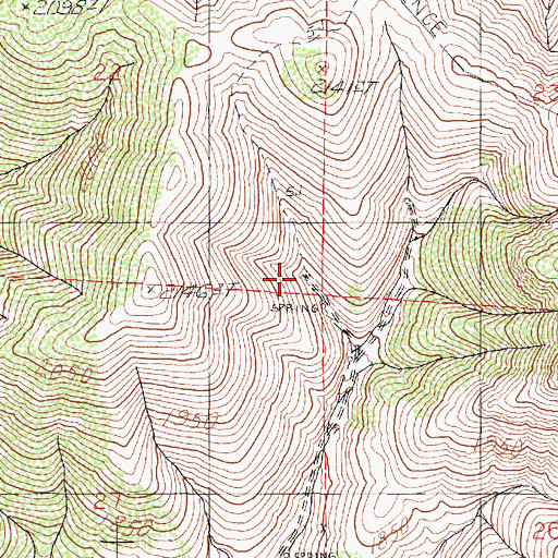 Topographic Map of Rasberry Spring Four, NV
