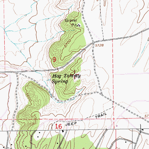 Topographic Map of Hog Tommy Hill, NV