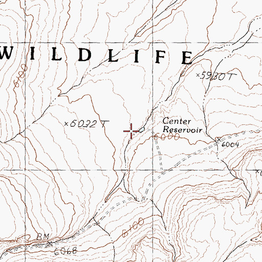 Topographic Map of Center Reservoir, NV