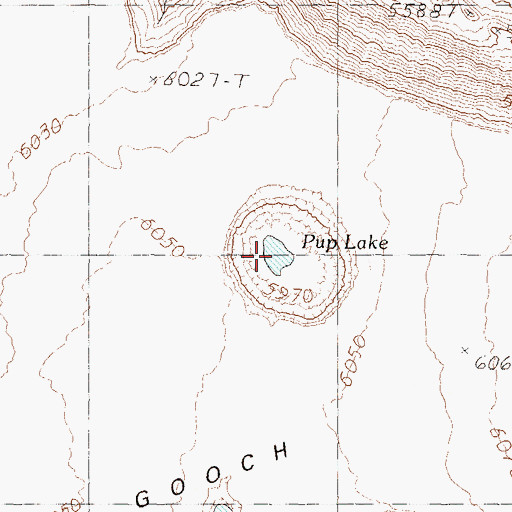 Topographic Map of Pup Lake, NV