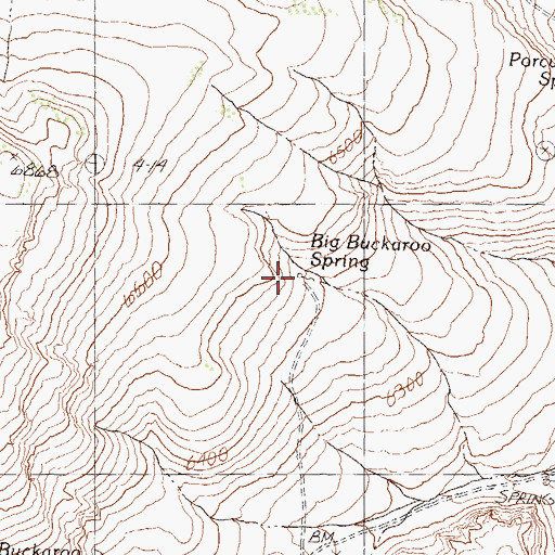 Topographic Map of Big Buckaroo Spring, NV