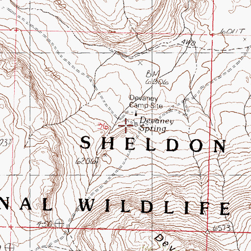 Topographic Map of Devaney Spring, NV