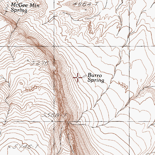 Topographic Map of Burro Spring, NV