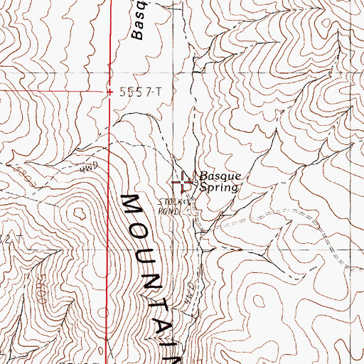 Topographic Map of Basque Spring, NV