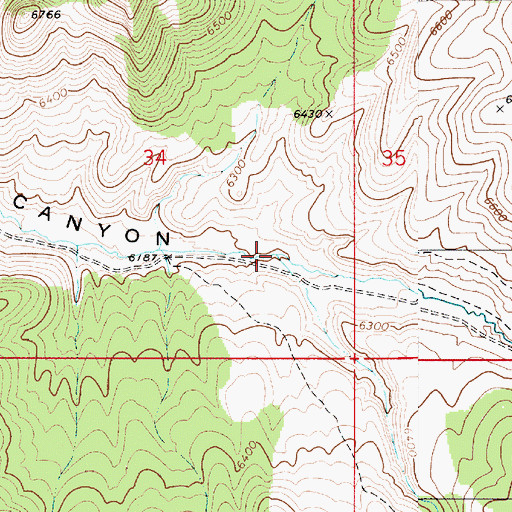 Topographic Map of Picket Canyon, NV