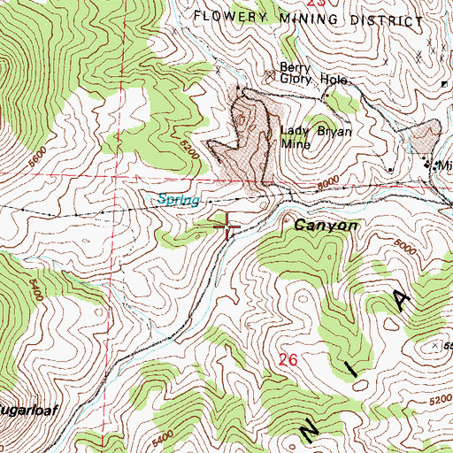 Topographic Map of Jolly Giant Mill (historical), NV