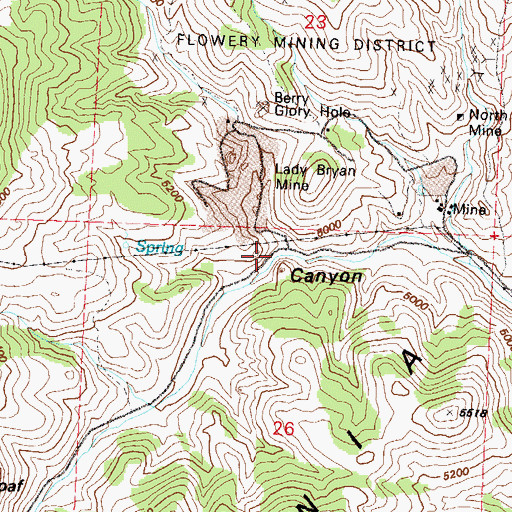 Topographic Map of Flowery City (historical), NV