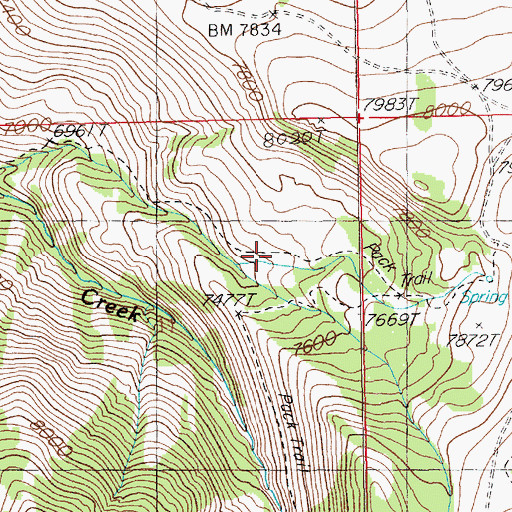 Topographic Map of Virginus Number One Mine, NV